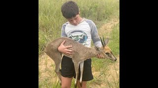 African Antelope Release  Kian Brown [upl. by Anilasor]