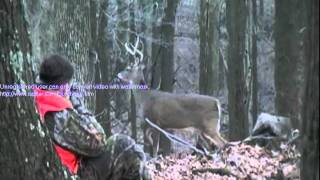 Unbelievable Encounter with Whitetail Deer [upl. by Yendyc]