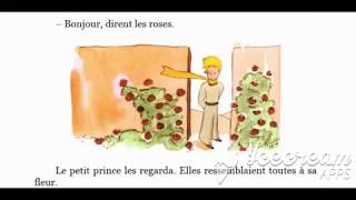 Le Petit Prince  Livre Audio avec texte  Chapitre 20  FR [upl. by Ahseat]