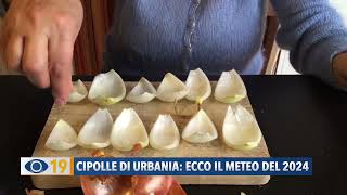 Cipolle di Urbania ecco il meteo del 2024 [upl. by Benyamin]