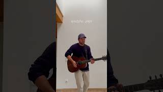 Beautiful crazy Luke Combs Cover [upl. by Anelra]