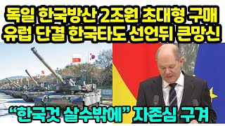 독일 한국방산 2조원 초대형 구매 유럽 단결 한국타도 선언뒤 큰망신 quot나토조차 독일 압박 자존심 구겨quot [upl. by Norraf]