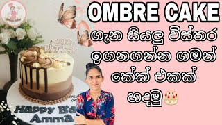 Lets make ombre cake🎂  ombre technique ගැන විස්තර🎂  ombre style කේක් එකක් හදමු🎂 omniacakes [upl. by Labaw31]