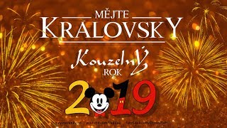 Královsky kouzelný rok 2019 všem✨ [upl. by Toney622]