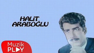 Sevda Yüklü Kervanlar  Halit Araboğlu Official Audio [upl. by Thorma]