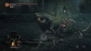 Dark Souls III  Strength Part 24  Profaned Capital [upl. by Llennhoj]