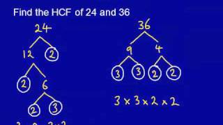 HCF LCM mathscasts [upl. by Aisac]