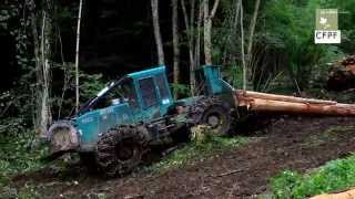 CFPF  Travaux forestiers – Abattage mécanisé et débardage au skidder [upl. by Raimundo]