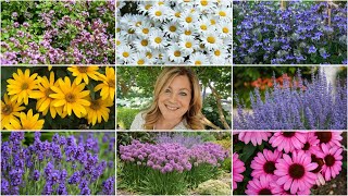 10 Perennials That Look GREAT in the HEAT 🌸🌼🌿  Garden Answer [upl. by Mirth]