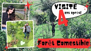 🟢 VISITE 4 ans Après Forêt Comestible  Jardin [upl. by Marlyn]