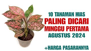 10 Tanaman Hias Paling Dicari di Minggu Pertama AGUSTUS 2024 [upl. by Ierbua112]