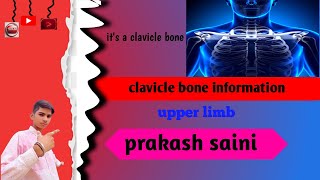 clavicle bone information 100ksubscribe 😲 [upl. by Yeffej]