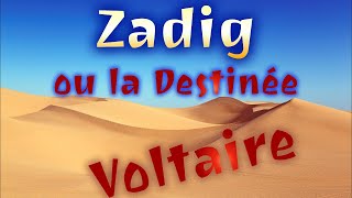 Zadig Voltaire  Chapitre 2  Le Nez [upl. by Celestina911]