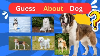 You dont Know this about your Dog Breed  Can you Guess  Quiz Challenge [upl. by Aubree]