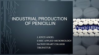 Industrial Production of Penicillin Industrial microbiology [upl. by Korff]