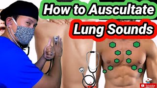 Lung Sounds and Lung Auscultation 101 [upl. by Finny]