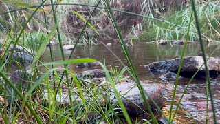 Native Americans share ancestral ties to Colorado River and its tributaries [upl. by Eugenle621]