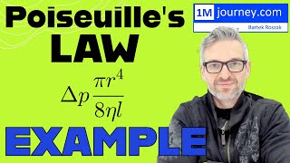 Poiseuilles Law Example [upl. by Akeimat]