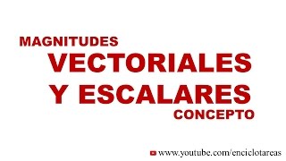 MAGNITUDES VECTORIALES Y ESCALARES Concepto [upl. by Adlemi]