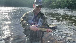 Flyfishing the West Branch Penobscot  Maine  fishing fish flyfishing [upl. by Aicelet]