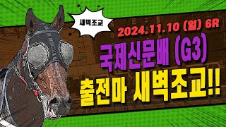 부산 경마 2024 국제신문배 G3 대상경주 출전마 새벽조교 [upl. by Donahoe]