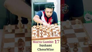 Morra Gambit  17 shorts chessshorts morragambit [upl. by Gannon]