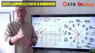 【化解犯太歲】2025乙巳年生肖運勢｜Wilfred師傅預測2025蛇年十二生肖運勢｜2025犯太歲、人緣運、財運、事業運、姻緣運生肖詳講 玄宇宙 [upl. by Mena]