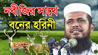 নবীজির কাছে হরিনীর ফরিয়াদ  মাওলানা তোফাজ্জল হোসেন ভৈরবি  Mawlana Tofazzal Hossain Waz  new waz [upl. by Kathryne555]