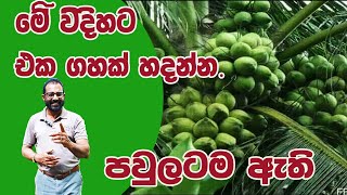 එක ගහක් පවුලටම ඇති AgriView61 [upl. by Edelsten]