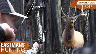 SCREAMING bulls IN YOUR FACE Bow hunting Elk in the backcountry with Grizzlies [upl. by Hilliary]