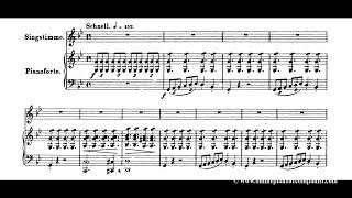 Erlkönig  Original Key  Piano Accompaniment [upl. by Shenan]