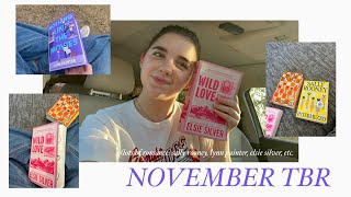 NOVEMBER TBR SALLY ROONEY LYNN PAINTER ELSIE SILVER ETC [upl. by Shena416]