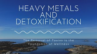 Heavy Metals and Detoxification  Clayton Thomas  Root Wellness  Clean Slate [upl. by Elysia]