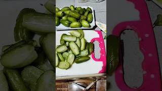 cutting kalamias by pieces vegestables satisfying asmrsounds viralshort asmr [upl. by Arihaj]