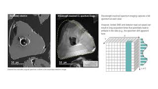 Monarc Cathodoluminescence Detector Wavelength Spectrum Imaging [upl. by Aserat222]