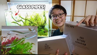 GLASS Lily Pipes for my PLANTED AQUASCAPED Aquarium [upl. by Ahsieit71]