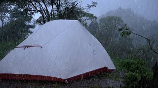 CAMPING IN HEAVY RAIN amp THUNDERSTORMS RELAXING SOUNDS OF RAIN ON TENT ROOF  ASMR 4K [upl. by Nilhtac]