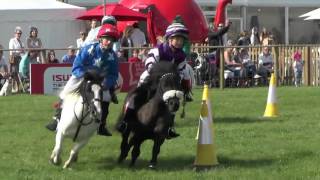 Shetland Pony Grand National [upl. by Egni]