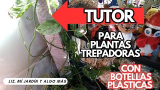 TUTOR PARA PLANTAS TREPADORAS 🤗 [upl. by Aibat]