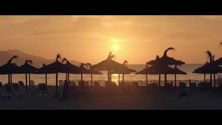 Discover Iberostar Alcudia Park  Iberostar Hotels amp Resorts [upl. by Dnob735]