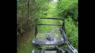 Forestry grinding thick honeysuckleunderbrush for future home sight perk test C345 amp Fecon Pt 2 [upl. by Kali637]