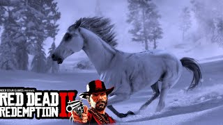 THE WHITE ARABIAN HORSE  Red Dead Redemption 2 Part 60 [upl. by Grimbald467]